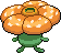 Rafflesia