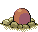 Taupiqueur