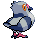 Poichigeon