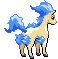 Ponyta
