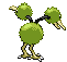 Doduo