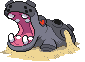 Hippodocus