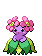 Joliflor
