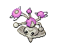 Kapoera