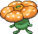 Rafflesia