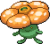 Rafflesia