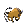 Tauros
