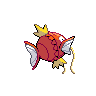 Magicarpe