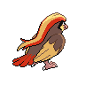 Roucarnage