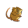 Rattatac