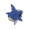 Sharpedo