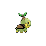 Tortipouss