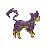 Léopardus