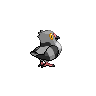 Poichigeon