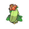 Fragilady
