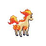 Ponyta