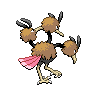 Dodrio