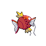Magicarpe