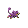 Rattata