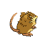 Rattatac