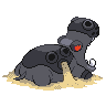 Hippodocus