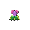 Joliflor
