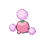 Cotovol