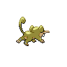 Rattata