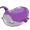 Wailord