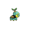 Tortipouss