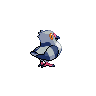 Poichigeon