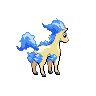 Ponyta