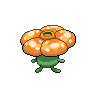 Rafflesia