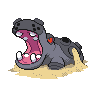 Hippodocus