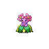 Joliflor