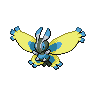 Papilord