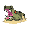 Hippodocus