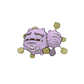 Smogogo
