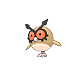 Hoothoot