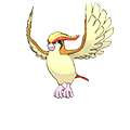 Roucarnage