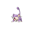 Rattata