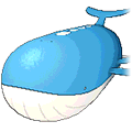 Wailord