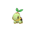 Tortipouss