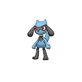Riolu