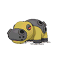 Hippodocus