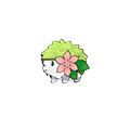 Shaymin