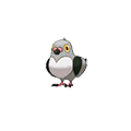 Poichigeon