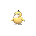 Psykokwak