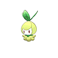 Chlorobule