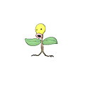 Chétiflor